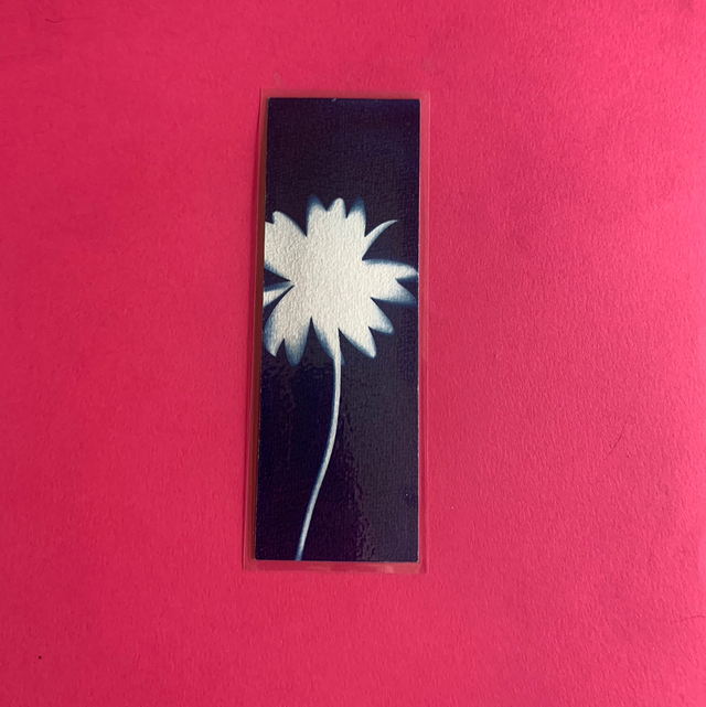 Marque page cyanotype végétal original sur papier épais et plastifié