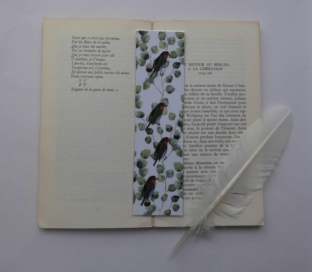 Les rouges-gorges de la lecture