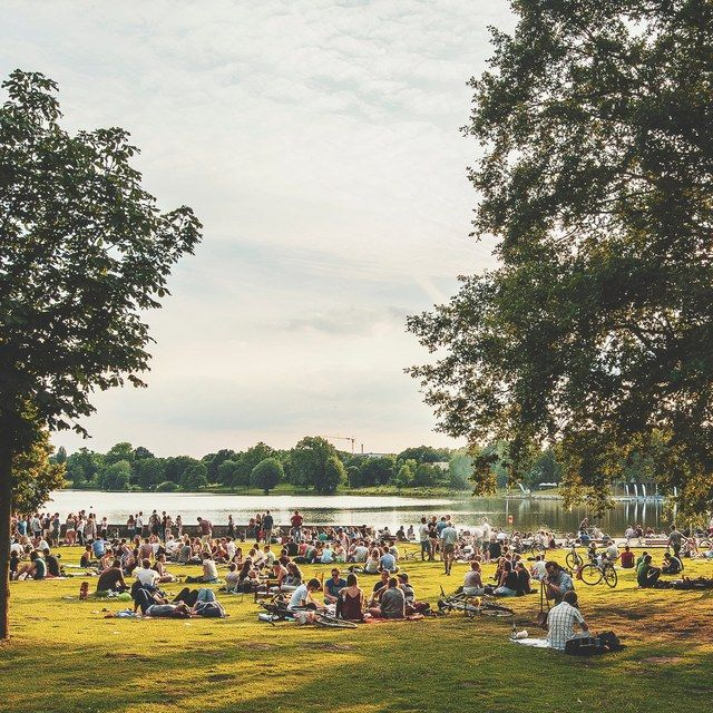 Wiese am Aasee