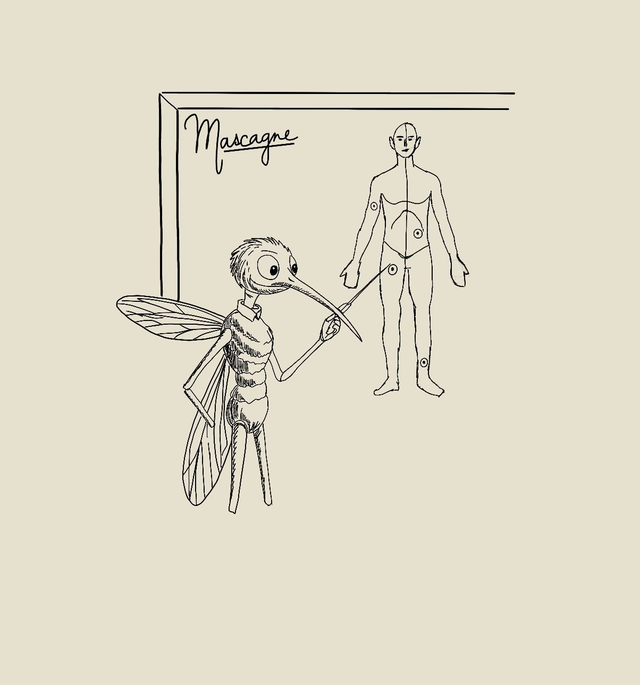 Carte Postale Moustique