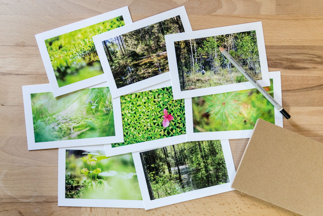 Lot de cartes 10x15 - POOL