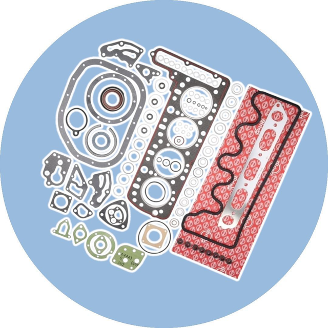 Motordichtsatz für den OM616-Diesel