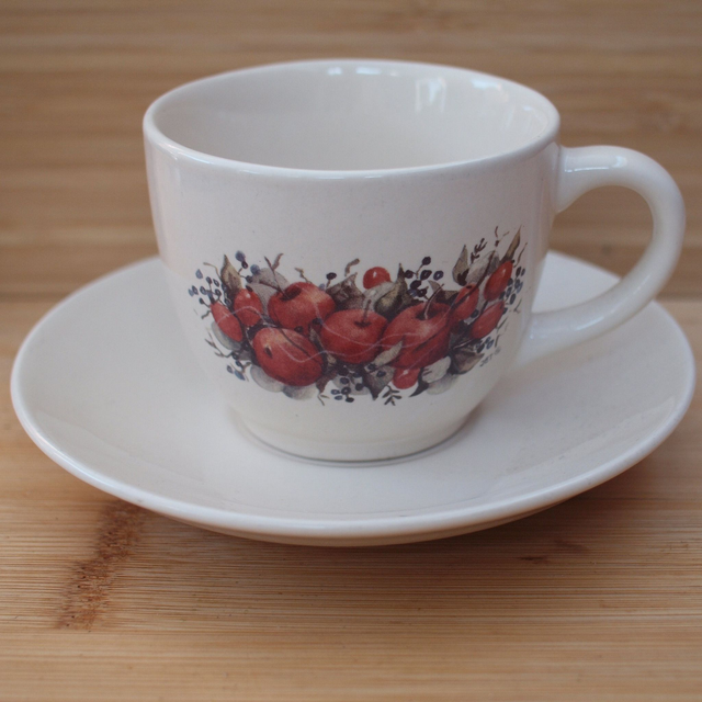 Jet by Ter Steege | Kop (diameter 7,5 | hoogte 6,5 cm) en Schotel (diameter 14 | hoogte 2 cm) in malus appeltjes rozebottel motief