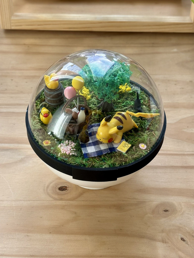 ☀️ Terrarium Pokémon - Édition Été - Pikachu