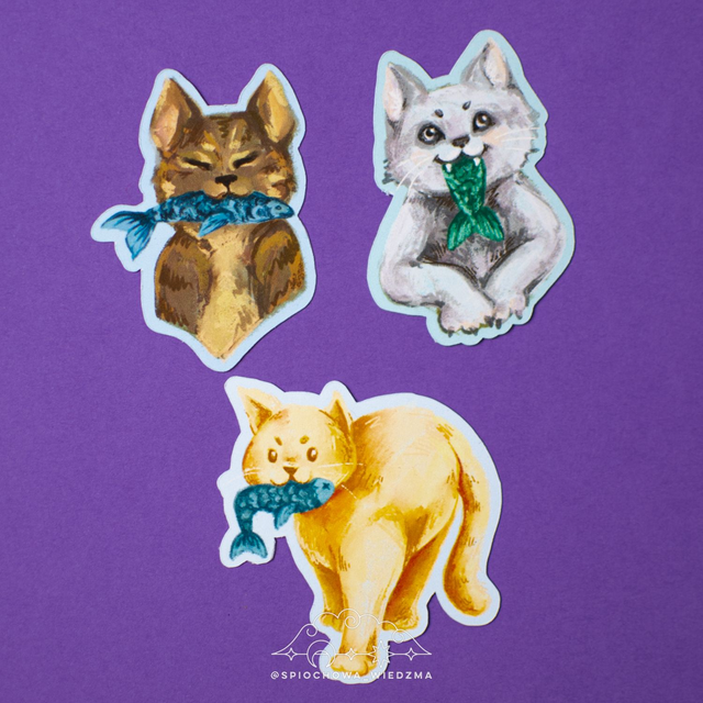 Kotki z rybami | ZWIERZĘTA