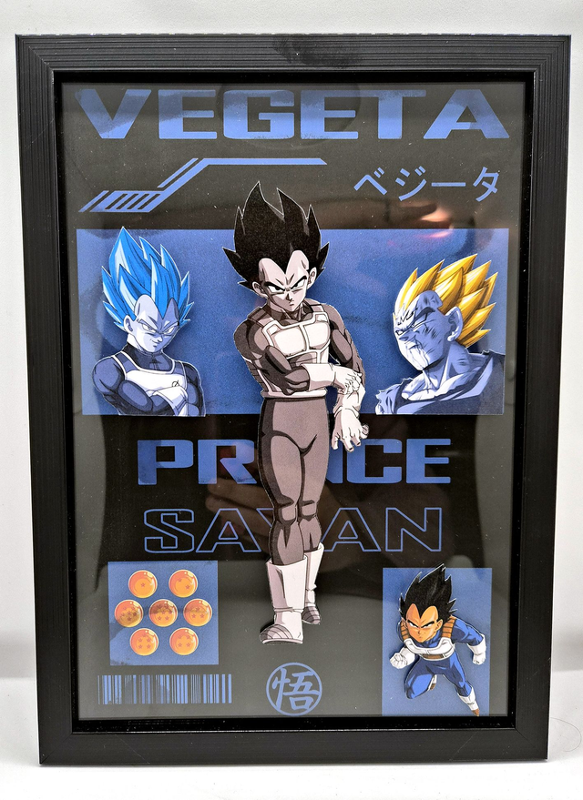 Cadre 3D - Dragon Ball - Vegeta