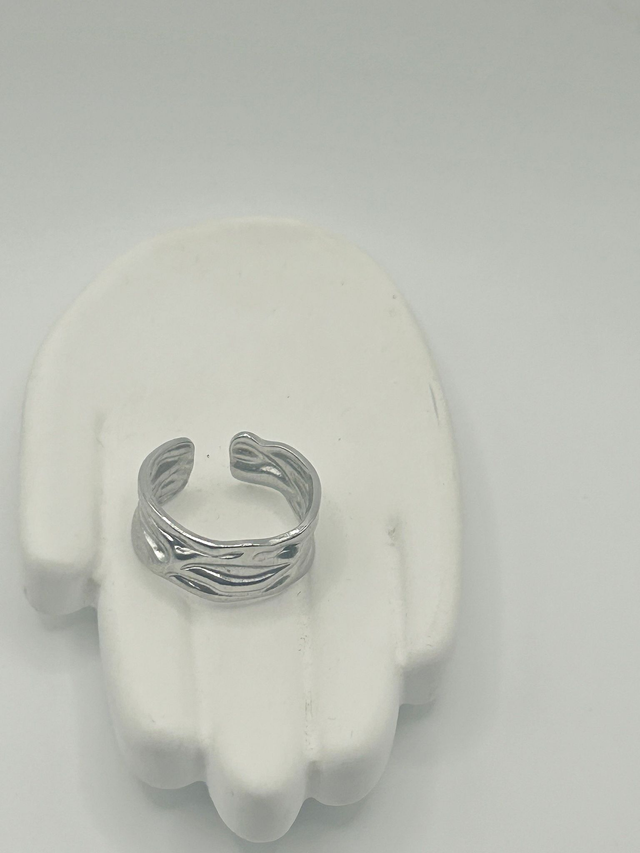 Stainless Steel Ring (SSR132J)