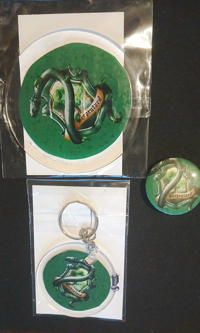 Serpentard Lots sous verre, porte clé et badge