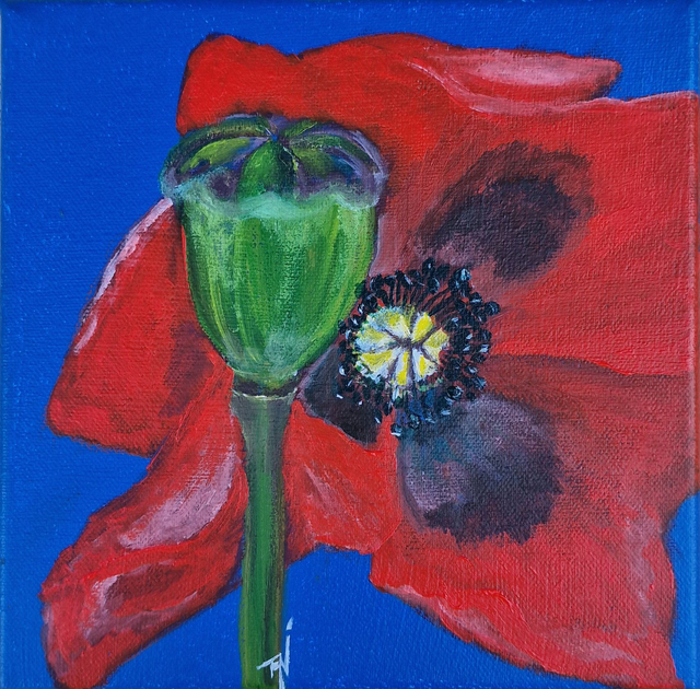 Acrylique sur toile | COQUELICOT