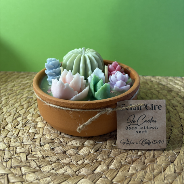 Cactus coco citron vert - 255gr