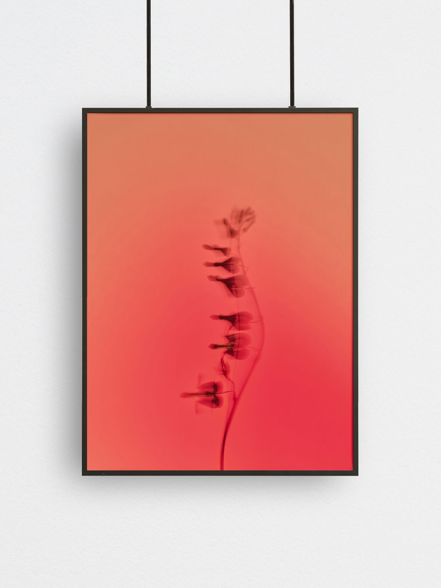 Flat Earth (5), Fine Art Print