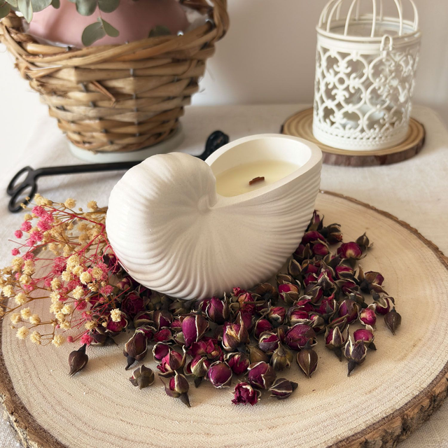 Vela aromática Diseño "Nautilus"