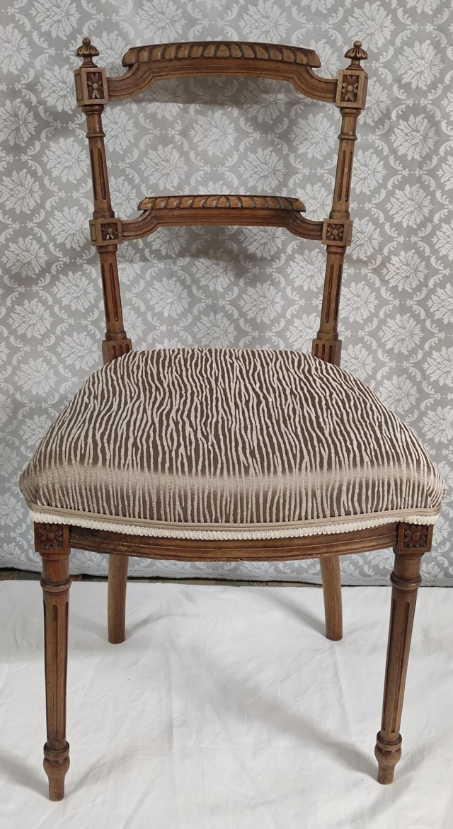 Chaise d'ornement en velours zèbre