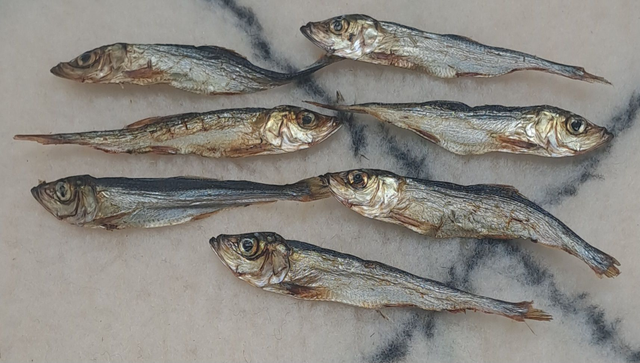 46 - Sprats de Poisson Lot de 10