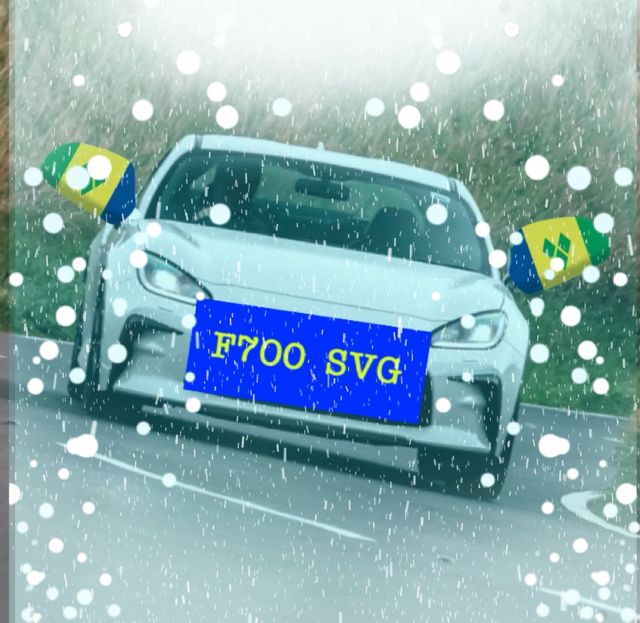 🇻🇨SVG BEQUIA COLLECTION - CAR WING MIRROR COVERS