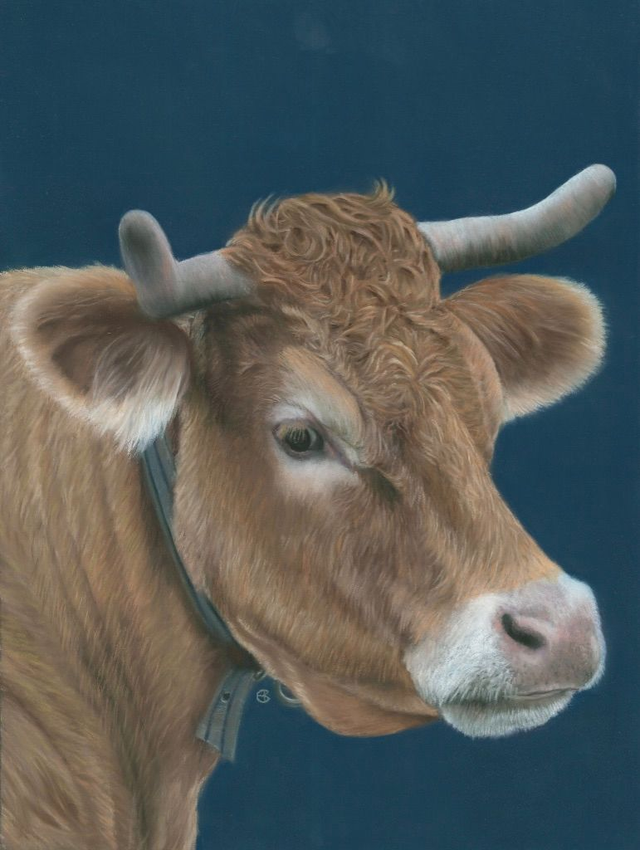 Greeting Card 'ZUS' (Leemweg)