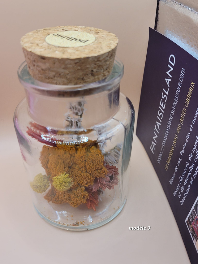 Flacon de Fleurs séchées mod3 - MEDIUM - marque POLHINE