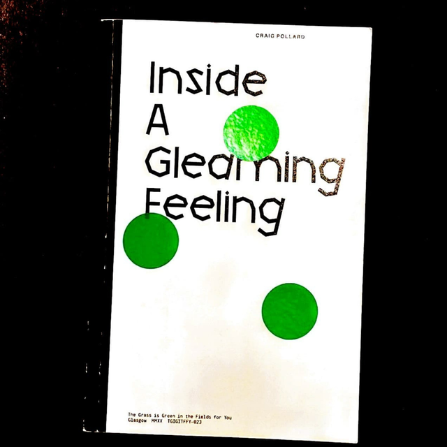 Inside a Gleaming Feeling - Craig Pollard