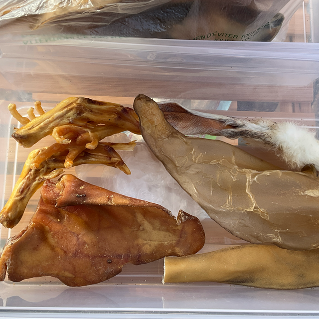 Kit Découverte Chiot