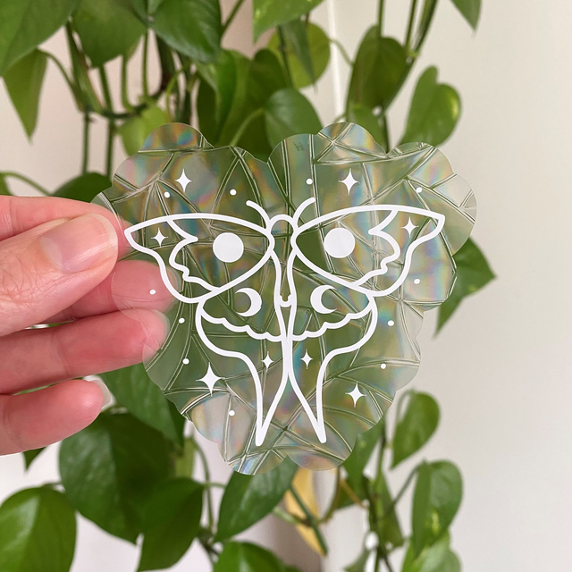Attrape soleil sticker de fenêtre papillon de nuit 