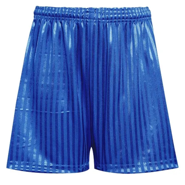 Blue unisex PE shorts