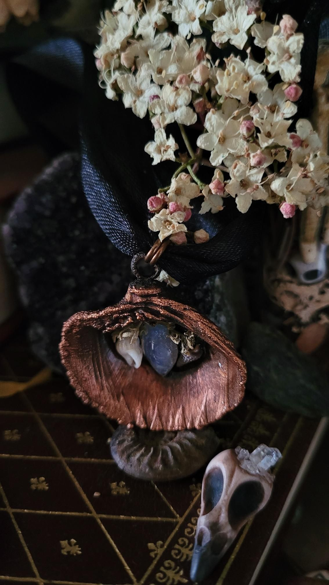 Le médaillons de Calypso