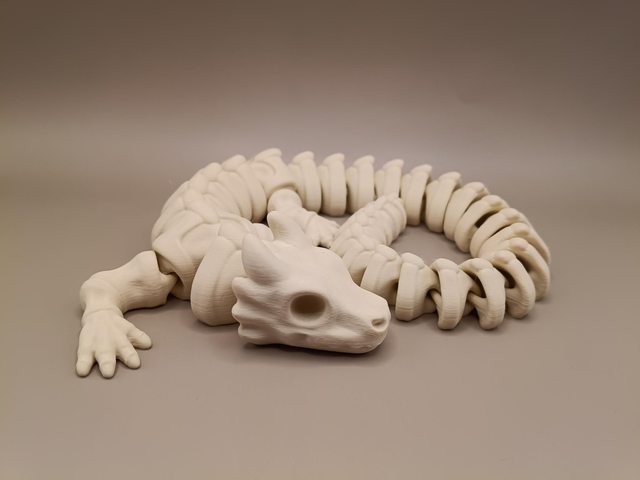 Zou dragon skeleton 