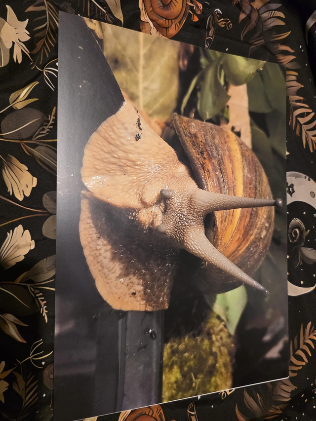 Affiche paysage format a3