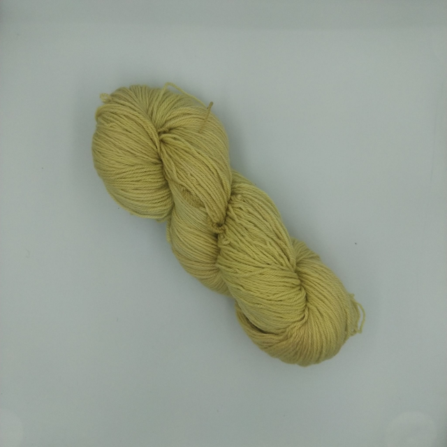 BB mérinos  ( gaude )