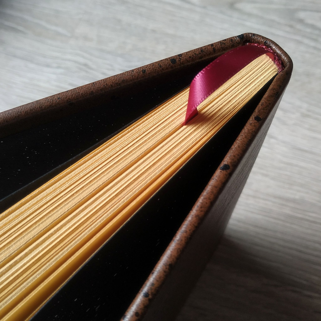 Grimoire cuir "Dragons"