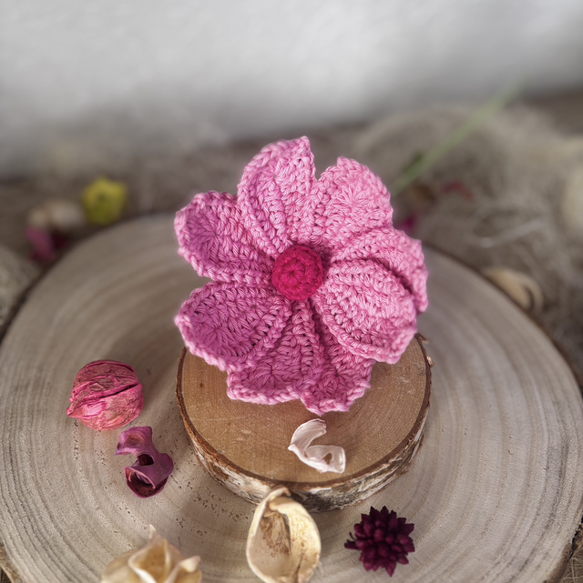 Cosmos (personnalisable pour créer votre bouquet)