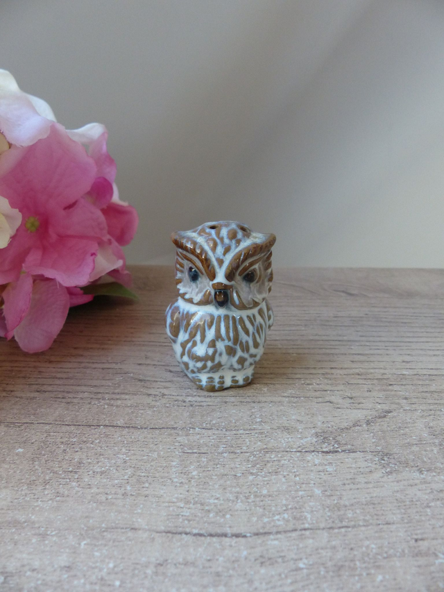 Salière en Céramique : Adorable Chouette Vintage, Charmante Chouette Fait Main en Poterie, Idéale pour Décoration de Table Cuisine Colorée