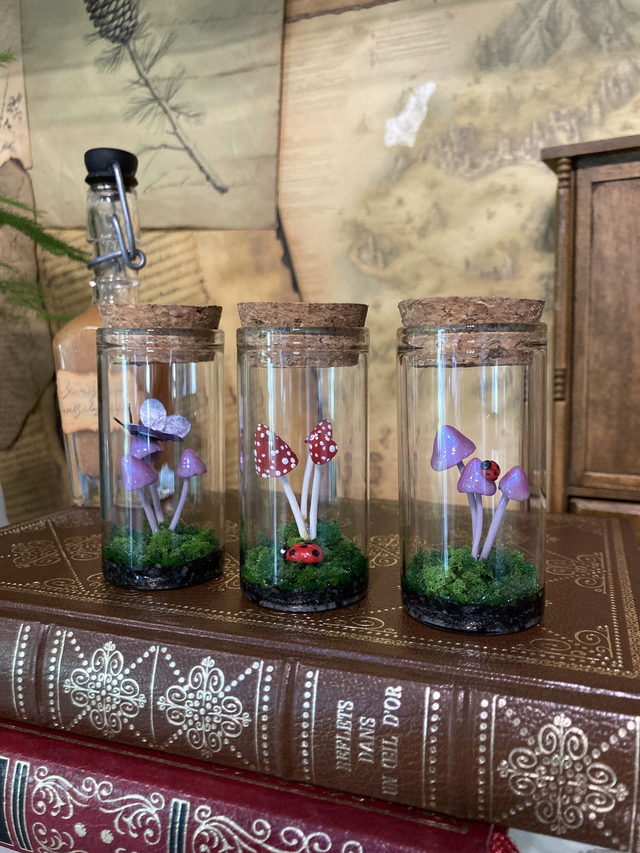 Champignons féeriques