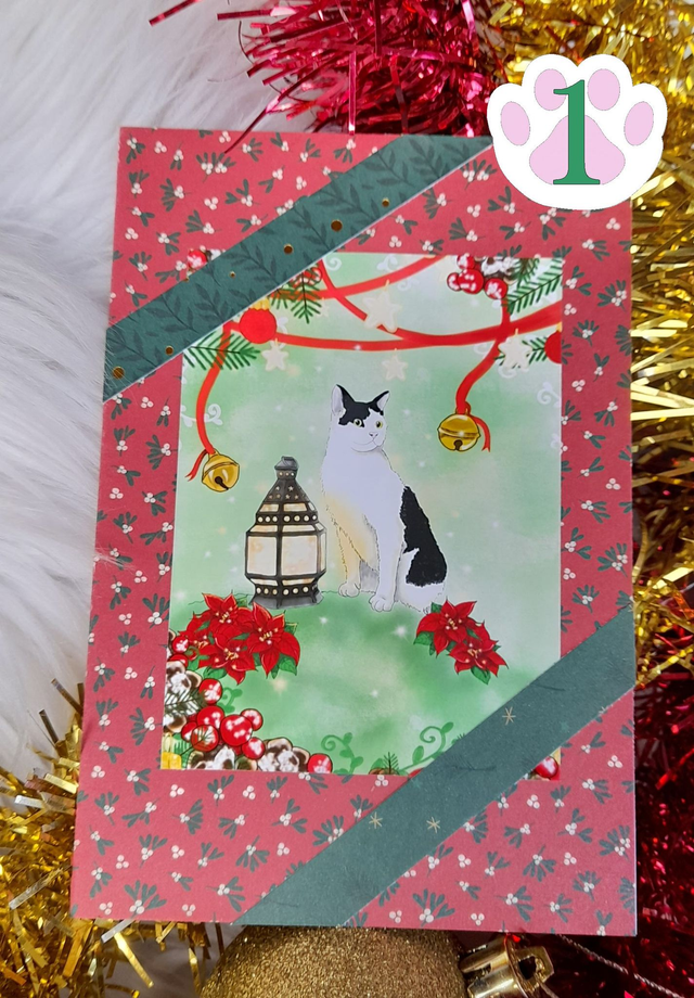 Carte de voeux chat noir et blanc