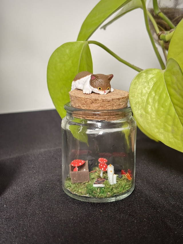 🍃 Mini terrarium verre - Édition automne - Petit chat 