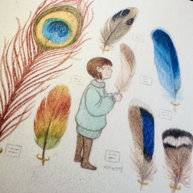 Collectors - Feathers