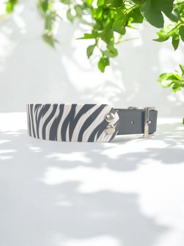 Collier pour chien en BioThane® Original USA. Zebre / Noir 