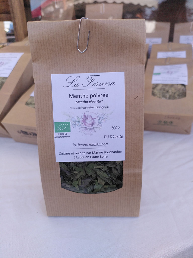 Menthe poivrée