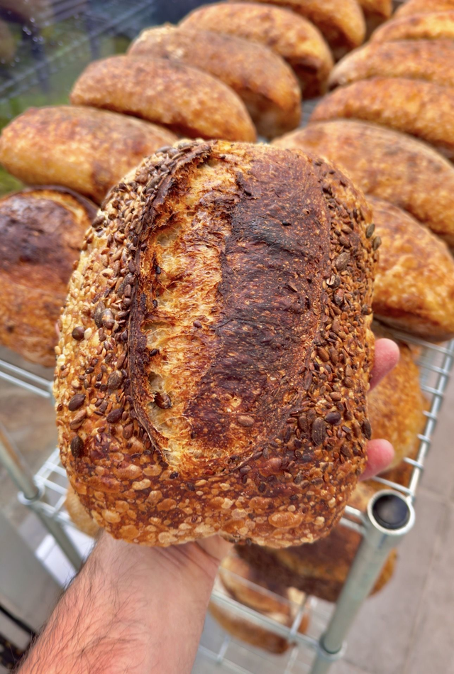 MULTISEED SOURDOUGH (wheat)