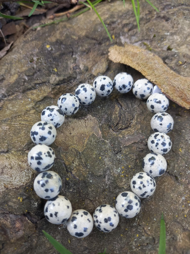 Jaspe dalmatien 8mm