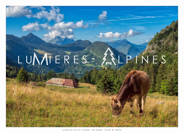 Alpages du col de la Frasse (PNR Bauges) - 58*42cm