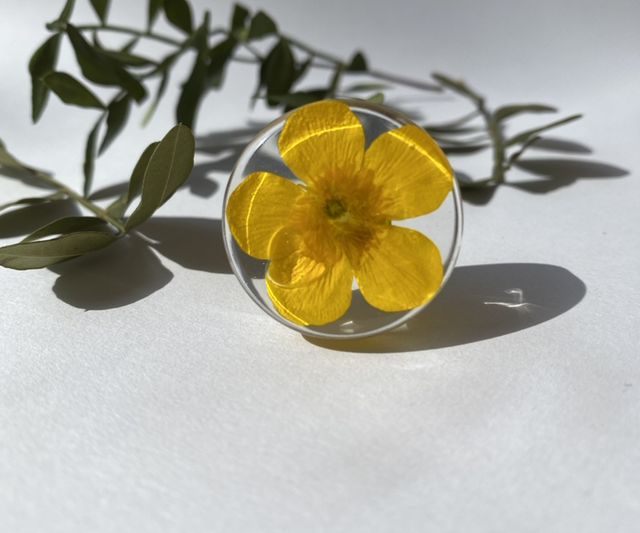 Boutons de meuble bouton d’or