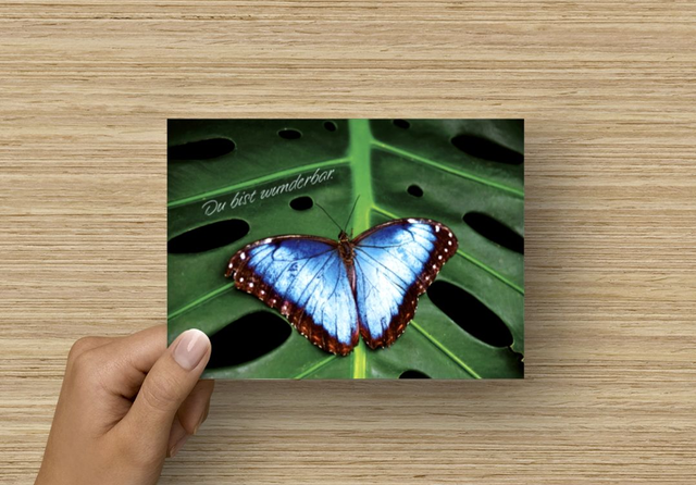 Postkarte Schmetterling