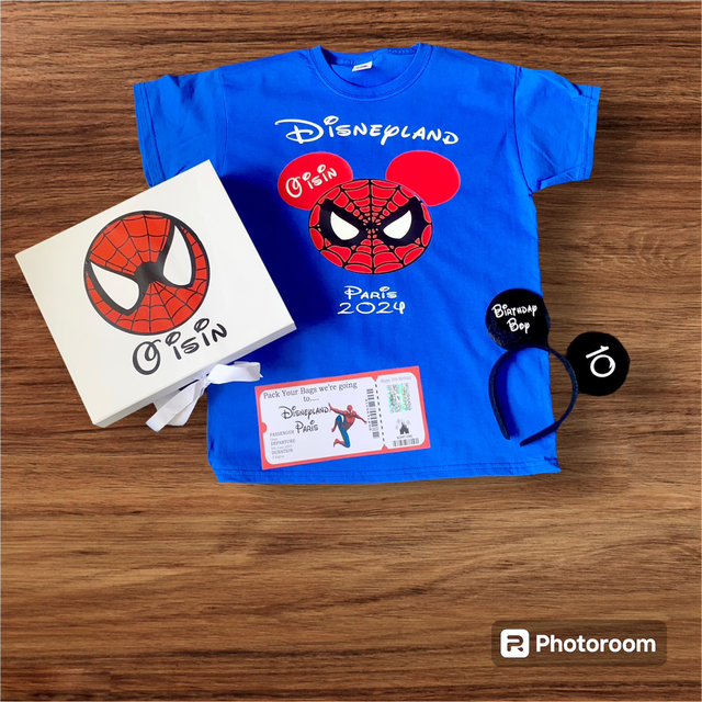 Spider-Man Disneyland birthday box 