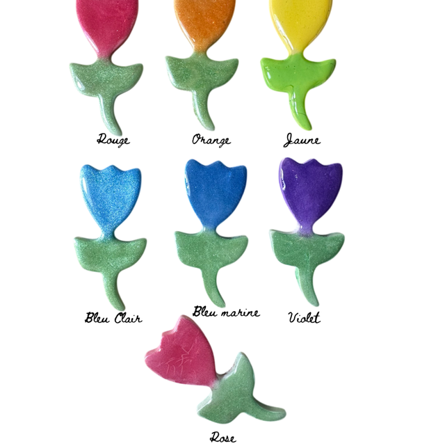 Cadre photo identité avec magnet interchangeable