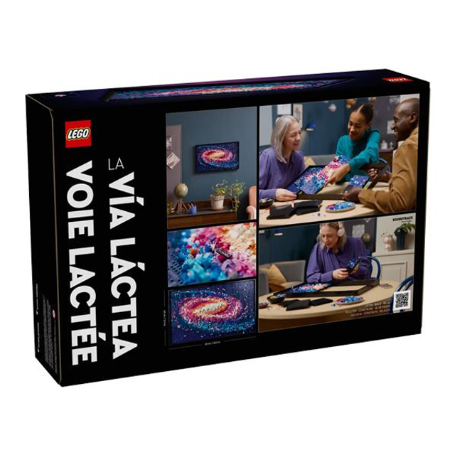 The Milky Way Galaxy