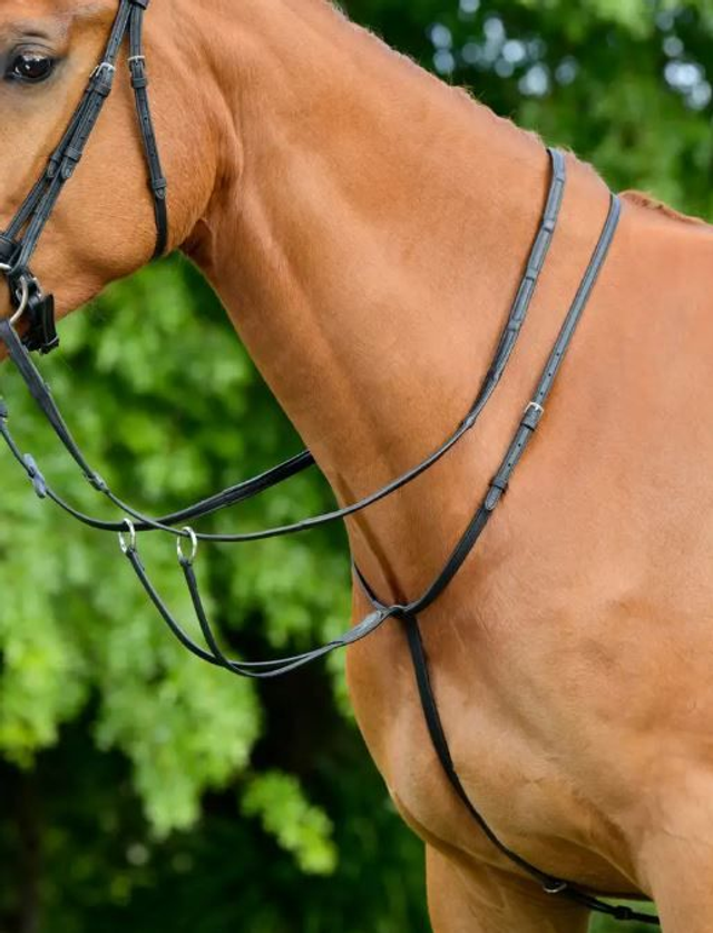 Collegiate Plain Flat Running Martingale