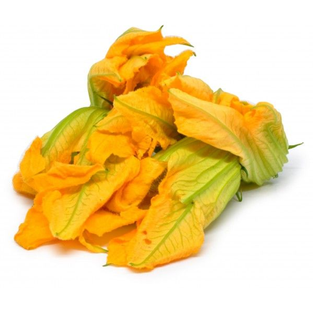 FIORI DI ZUCCHINI NOSTRANE E FRESCHE TUTTI GIORNI 1 CONF 10-15 FIORI