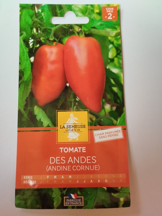 Tomate des Andes(Andine cornue)