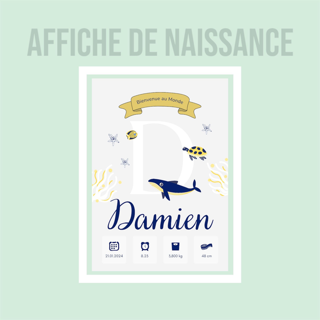 Affiche de Naissance